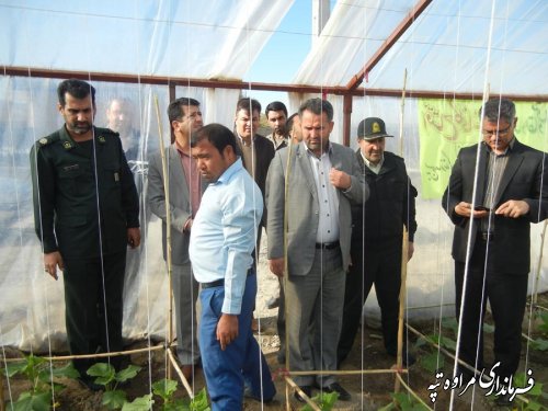 افتتاح گلخانه های طرح مقاومتی سپاه پاسداران شهرستان مراوه تپه در هفته بسیج