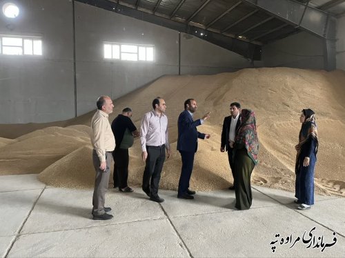 بازدید سرزده فرماندار و مدیر کل غله استان از مراکز خرید محصولات کشاورزی